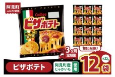 【3ヶ月定期便】カルビー ピザポテト 22g×12個｜Calbee お菓子 菓子 おやつ おかし ぽてち ポテチ スナック おつまみ ジャガイモ じゃがいも（93-89）
