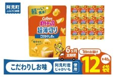 【6ヶ月定期便】カルビー ポテトチップス 超薄切りこだわりしお味 40g×12個｜Calbee お菓子 菓子 おやつ おかし ぽてち ポテチ スナック おつまみ ジャガイモ じゃがいも（93-102）
