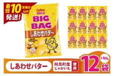 【10営業日以内に出荷】カルビー ポテトチップ スしあわせバタ～ BIGBAG 160g×12個｜Calbee お菓子 菓子 おやつ おかし ぽてち ポテチ スナック おつまみ ジャガイモ じゃがいも（93-106）