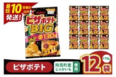 【10営業日以内に出荷】カルビー ピザポテト BIG 130g×12個｜Calbee お菓子 菓子 おやつ おかし ぽてち ポテチ スナック おつまみ ジャガイモ じゃがいも（93-109）