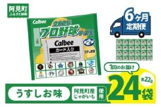 【6ヶ月定期便】カルビー 2025プロ野球チップス 1袋（22g）×24袋｜Calbee お菓子 菓子 おやつ おかし ぽてち ポテチ スナック おつまみ ジャガイモ じゃがいも（93-114）