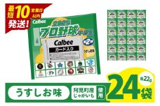 【10営業日以内に出荷】カルビー 2025プロ野球チップス 1袋（22g）×24袋｜Calbee お菓子 菓子 おやつ おかし ぽてち ポテチ スナック おつまみ ジャガイモ じゃがいも（93-112）