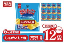 【6回定期便】湖池屋 ポテトチップスじゃがいもと塩 Largeサイズ 112g×12個|お菓子 おかし おやつ スナック スナック菓子 菓子 ポテチ 大容量 おつまみ じゃがいも（93-183）