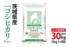 【6ヶ月定期便】令和7年産 茨城県産 コシヒカリ5kg【お米 米 こしひかり ごはん 茨城県】（03-56-1）