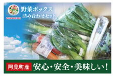 04-05 阿見町産野菜ボックス詰め合わせセット（7～8品）【新鮮 美味しい EM菌 減農薬 有機肥料 阿見町 茨城県】