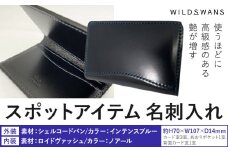 名刺入れ WILDSWANS スポットアイテム 皮 有限会社ケイズファクトリー《120日以内に出荷予定(土日祝除く)》茨城県 河内町 皮製品 雑貨 シェルコードバン ロイドヴァッシュ st-p