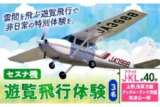 セスナ機遊覧飛行体験 3名 フライトJ・K・L（約40分コース） 新中央航空株式会社《30日以内に出荷予定(土日祝除く)》茨城県 河内町 セスナ 飛行体験