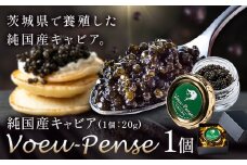 キャビア 純国産キャビア Voeu-Pense 1個 《12月中旬頃出荷》キャビアフィッシュカンパニー 高級 チョウザメ クラッカー バゲット パスタ 茨城県 河内町