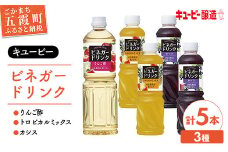 【キユーピー醸造】りんご酢・ビネガードリンクセット6 ／ 果実酢 健康 りんご酢 ビネガー ドリンク セット カシス トロピカル パイン マンゴー フルーティ すっきり 酢 キユーピー 醸造 茨城県 五霞町【価格改定】