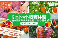 中村さん家のトマト収穫体験【ファミリーコース】(4名様まで)【2025年5月10日 土曜日 開催】- 農業体験 30分 食べ放題 1パック お持ち帰りお土産付き 収穫 新鮮 茨城県 五霞町 開催 