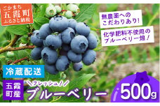 フレッシュ 五霞町産 ブルーベリー500g - ブルーベリー 新鮮 フレッシュ 大粒 無農薬 冷蔵 生 フルーツ 果物 そのまま おやつ 朝食 茨城県 五霞町
