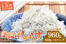 釜揚げしらす 6パック ( 160g × 6パック ) 約 1キロ（茨城県共通返礼品・大洗町産） ／ しらす 釜揚げしらす 小分け 便利 とろける 食感 新鮮 冷凍 茨城県
