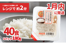 K1464B 【1月内発送】境町産こしひかり使用 低温製法米パックライス 180g×40個