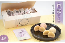 K2548 白露(はくろ) 詰め合わせ 10個入り × 2箱 (白・苺)