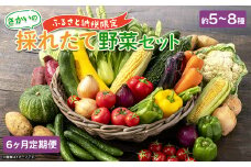 K2578【定期便/6ヶ月連続お届け】さかいの採れたて 野菜セット(5～8種) 道の駅さかい おまかせ 産地直送 新鮮