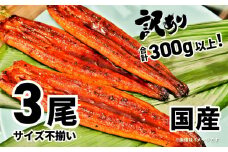 K1804〈2025年10月発送〉【訳あり】さかい河岸水産の国産うなぎ3尾 300g以上！ ※サイズ不揃い