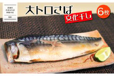 K2587 【茨城県共通返礼品/神栖市】大トロ さば 文化干し 1枚真空×6パック 魚 さば サバ 鯖  真空パック 化粧箱 冷凍 一夜干し