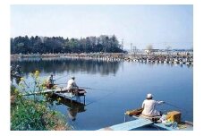 K1572 兎谷津へら鮒センター1日釣券3枚セット