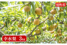 S121 さかいの梨幸水3kg（限定80箱）