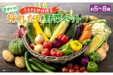 K1667【ふるさと納税限定】さかいの採れたて野菜セット