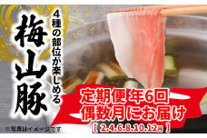K1875 【6回定期便/偶数月発送】 塚原牧場 幻の豚 「梅山豚」 しゃぶしゃぶセット ブランド豚 メイシャントン 境町