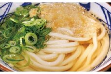 S186 境の手のばし麺 うどん 10人前×5箱