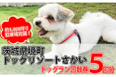 K1913 茨城県境町 広々1000坪！ ドッグラン 回数券（５回分）１回分お得！