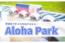 K1925 茨城県境町 Aloha Park BBQ 施設 利用券
