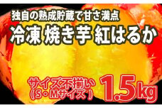 K1947 【数量限定】サイズ不揃い さつまいも 熟成 紅はるか 冷凍 焼き芋 1.5kg