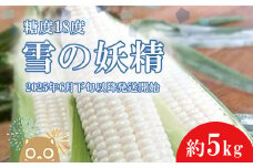 K1966【先行予約】【2025年6月下旬以降順次発送】糖度18度前後 白いとうもろこし「雪の妖精」約5kg入り 1000セット限定