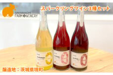 K2313A【スパークリングワイン3種セット】750ml×3本 さかいまちワイナリー