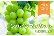 K1987 【2025年先行予約】境町産シャインマスカット2房（約1.3kg）