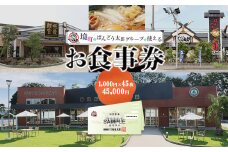K1205【境町店舗限定】坂東太郎グループお食事券(45,000円相当)