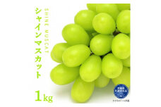 シャインマスカット　1kg（茨城県共通返礼品・かすみがうら市産）