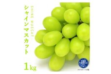 シャインマスカット　1kg（茨城県共通返礼品・かすみがうら市産）