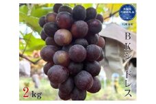 【先行予約】開田ぶどう園 BKシードレス 2㎏（茨城県共通返礼品・石岡市産） ／  ぶどう 葡萄 ブドウ 果物 フルーツ BKシードレス 2kg