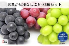 【先行予約】開田ぶどう園　おまかせ種なしぶどう3種セット　2kg（茨城県共通返礼品・石岡市産） ／  ぶどう 葡萄 ブドウ 果物 フルーツ 食べ比べ セット