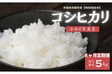 【6ヶ月定期便】利根町産【特別栽培米】コシヒカリ　精米5kg×6回