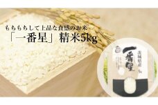 米 「 一番星 」 精米 5kg ／ お米 こめ コメ
