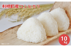 【令和6年産】 利根町産コシヒカリ 精米 10kg コシヒカリ 米 こめ コメ お米 おこめ 白米 精米 ごはん ご飯 こしひかり 茨城県 利根町