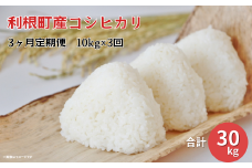 【3ヵ月定期便】【令和6年産】 利根町産コシヒカリ 精米 10kg × 3回 コシヒカリ 米 こめ コメ お米 おこめ 白米 精米 ごはん ご飯 こしひかり 茨城県 利根町