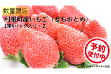 【先行予約／数量限定】農家直送　鮮度抜群の完熟苺　いちご（とちおとめ）8パック（4パック入り2箱）