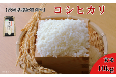 《 令和7年産 》【茨城県認証特別米】農薬減 コシヒカリ 玄米 10kg ／ こしひかり 米 こめ コメ お米 おこめ ごはん ご飯 新米 令和7年 安心 安全 茨城県 利根町