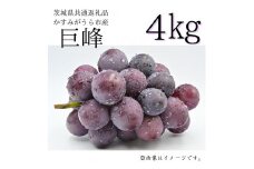 巨峰　4kg（茨城県共通返礼品・かすみがうら市産）