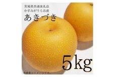 【2025年先行予約】 梨 「 あきづき 」 5kg （茨城県共通返礼品・かすみがうら市産） ／ 梨 なし 果物 フルーツ 先行予約 あきづき 5kg