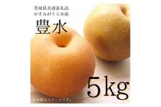 【2025年先行予約】 梨 豊水 5kg （茨城県共通返礼品・かすみがうら市産）