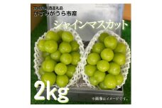 シャインマスカット　2kg（茨城県共通返礼品・かすみがうら市産）