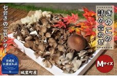 きのこ詰め合わせ　Mサイズ（茨城県共通返礼品／城里町産）