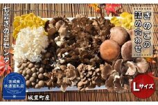 きのこ詰め合わせ　Lサイズ（茨城県共通返礼品／城里町産）