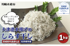 大津港水揚げのしらす干し　1kg（茨城県共通返礼品／北茨城市産）
